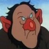 David the Gnome Holler headshot